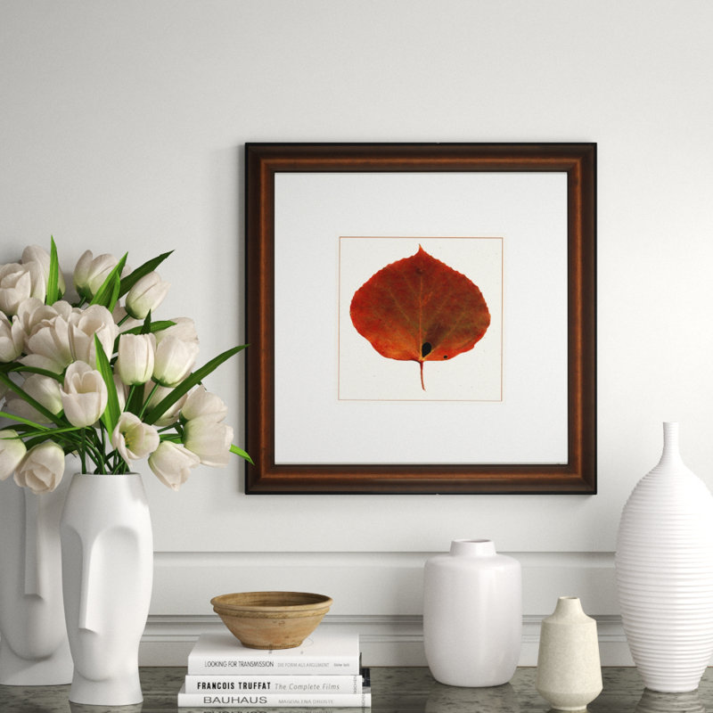 Nature Leaves IV Print