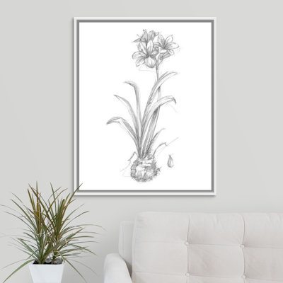 Bloom Sketches II by The Novogratz - Drawing Print on Canvas