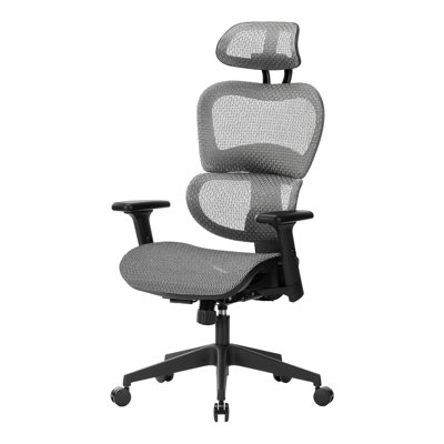 Nouhaus Ergo3dL Home Office Desk Chairs Ergonomic Office Chair High-Back Mesh Rolling Work Chairs with Wheels and Adjustable Headrests Comfortable Lumbar Support Adjustable Armrests