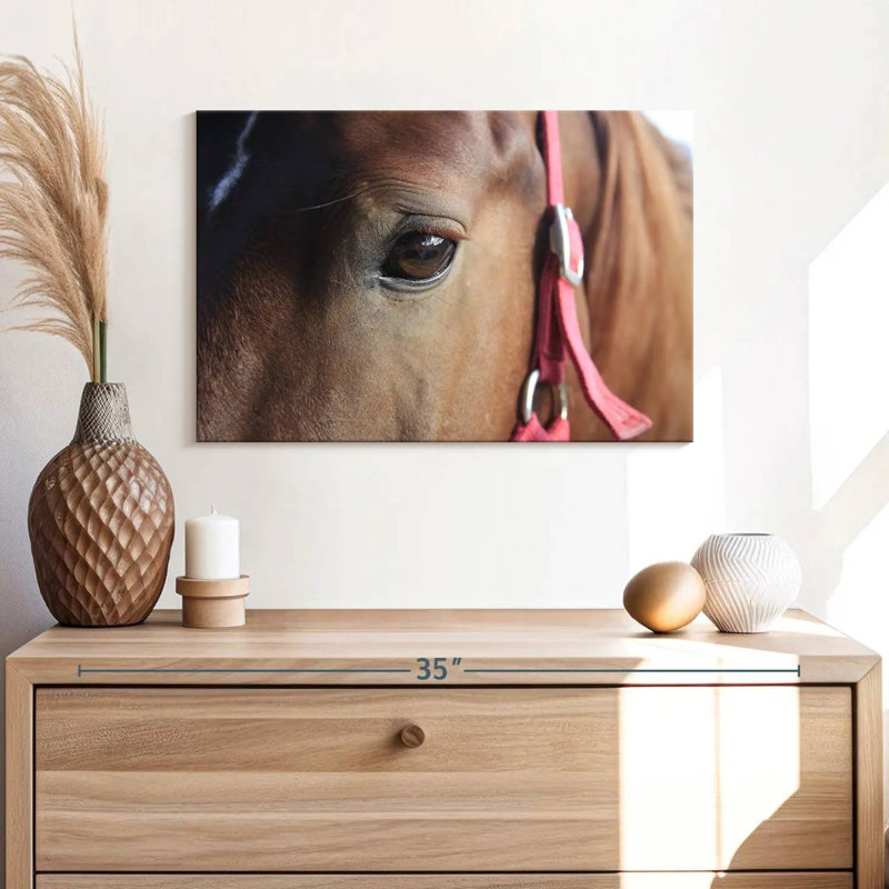 Brown Horse Eye, 8" H x 12" W