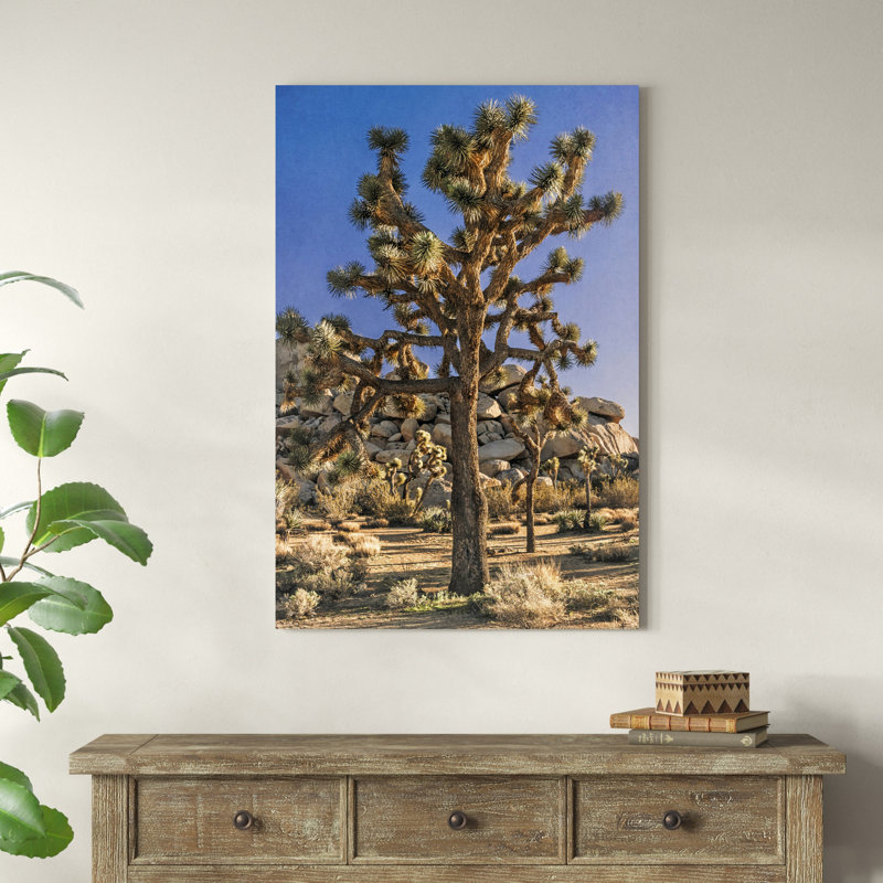 Vue de Joshua Tree II, H 48 po x l 32 po x P 1,25 po