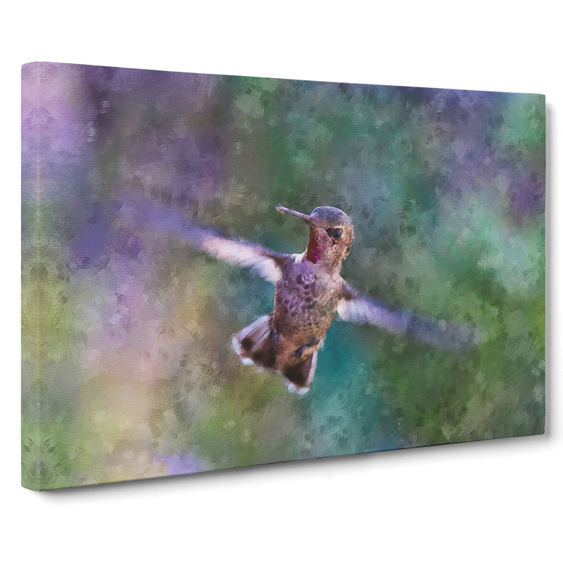 Hummingbird Vol.2 - Wrapped Canvas Painting, 35cm H x 50cm W x 3cm D