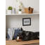 Panier en tissu Lattice Paw-261337378-261337401
