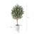 Adcock Artificial Olive Tree with Decorative Pot, UV Resistant Faux Olive Tree with Natural Trunk-1799478850-1799478851
