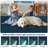 Bordered Machine Washable Rug with Rubber Backing Non Slip Soft Non Shedding Low Pile Thin Foldable Indoor Carpet-821996719-821689601