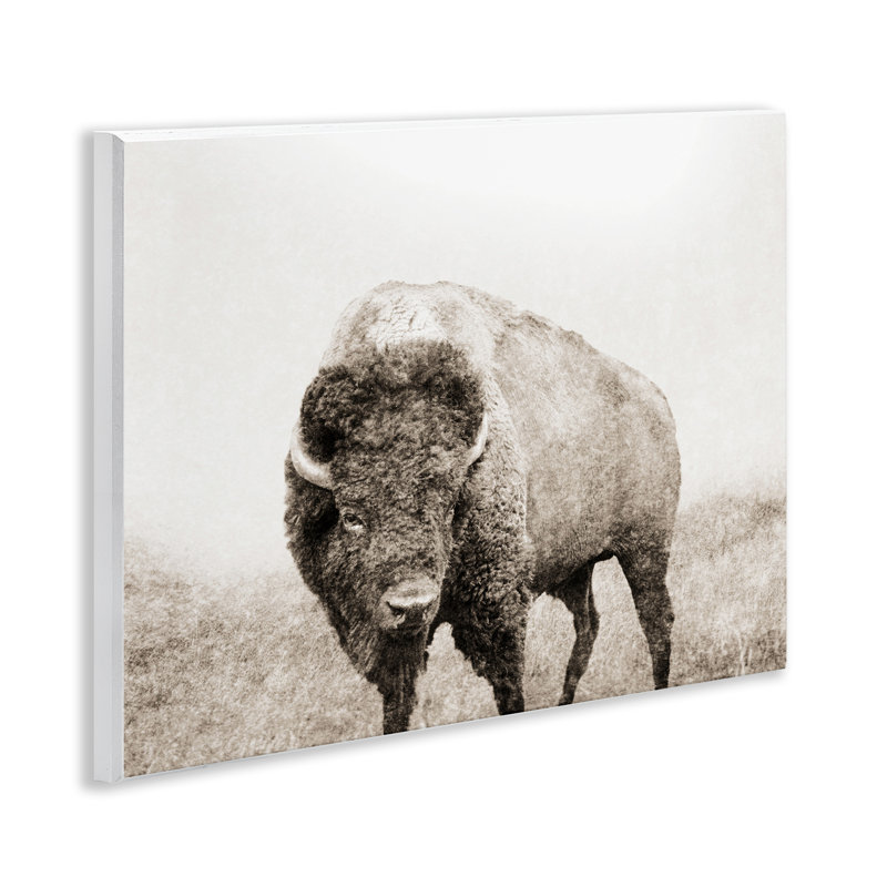 Bison patiné, art mural par Dan Meneely