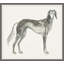 Mon Chien Élégant 1 Framed Print