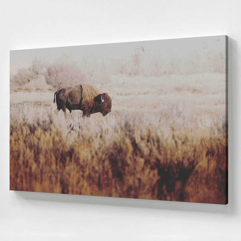 Lone Ranger, Large Canvas Print, 36" H x 54" W