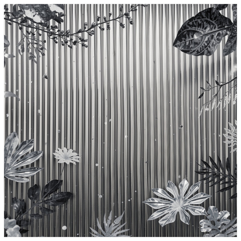 Couvre-lit matelassé à motif de feuillage tropical monochrome, Très grand lit