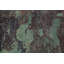 Tapis unique en coton 5 pi 9 po x 4 pi 0 po vert