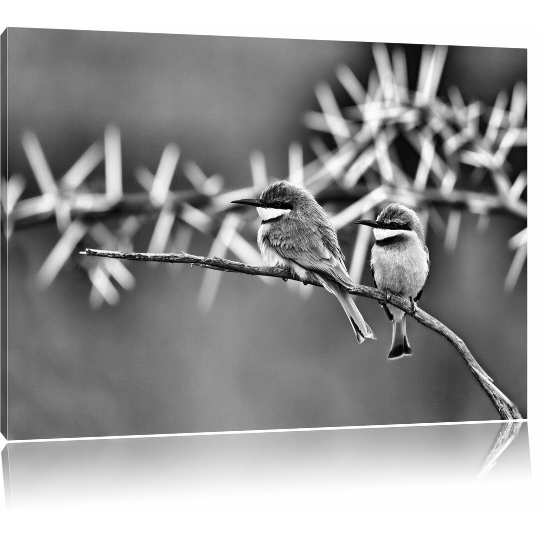 Leinwandbild Farbenfrohe exotische Vögel auf Ast in Monochrom