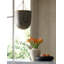 Lysandra 1 - Light Pendant