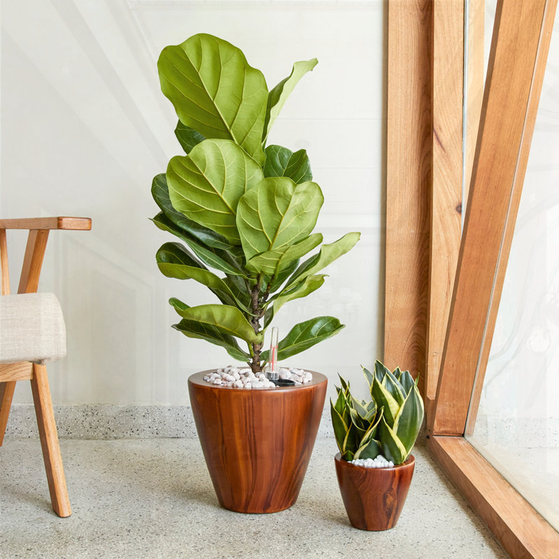 2-Pack watering Planter Pot, Dark Brown
