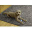 Tapis intérieur / extérieur Kivett-1310100543