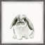 McLoud Plump Bunny Framed Print-567706393
