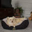 Wilton Polyester Pet Bed-1391022197-1391022196