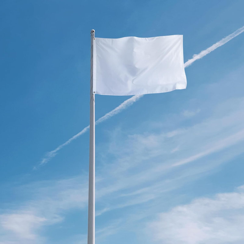 Drapeau de maison 36 po H x 60 po EverStrong