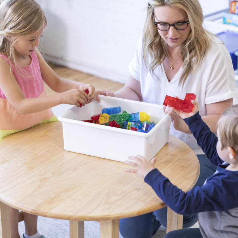 ECR4Kids Letter Size Plastic Tray Organizer with Lids, Large, Storage Bins, 10-Piece, Assorted, 13.75" L x 10.75" W x 5.5" H
