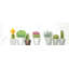 Mini cactus et plantes grasses - Art floral