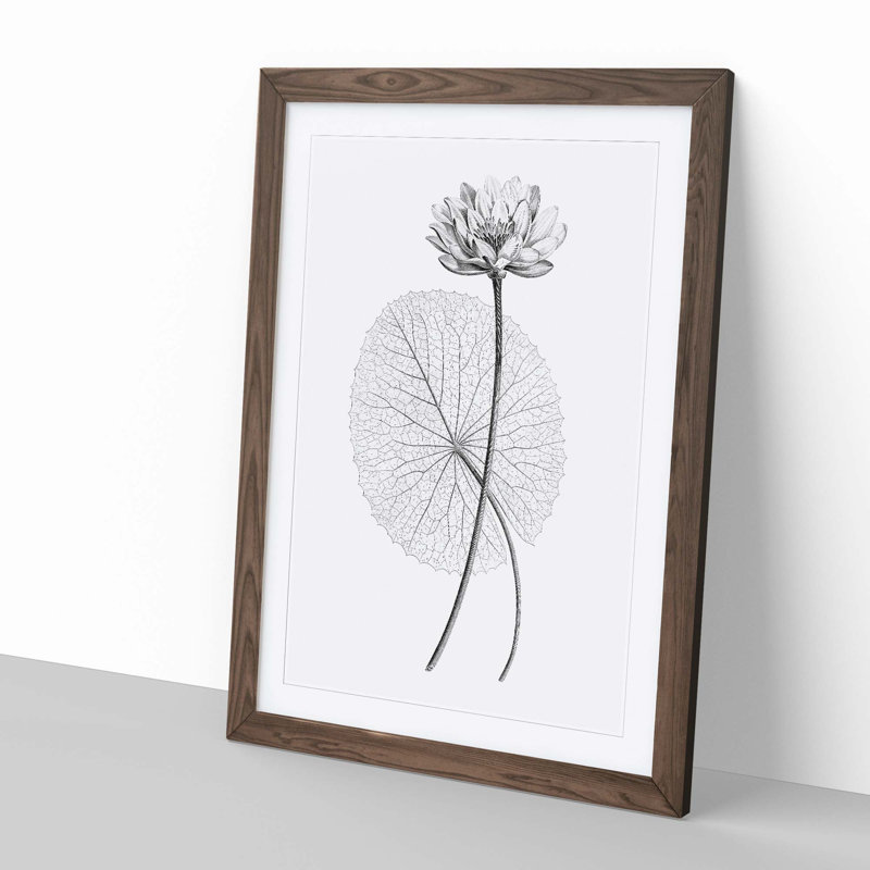 White Egyptian Lotus - Picture Frame Graphic Art Print, Walnut, 91cm H x 60cm W x 2cm D