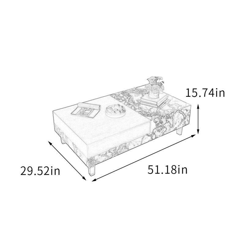 Table basse rectangulaire avec rangement en acrylique, Black/White/Brown, 15.74" H x 51.18" L x 29.52" W