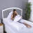 Pont Polyester Body Medium Support Pillow-1850706656