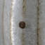 Table d'appoint Drum