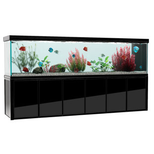 Aquarium 500 gallons en verre trempé Aqua Dream