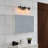 Raymonde 3 - Light Dimmable Vanity Light-1039581394