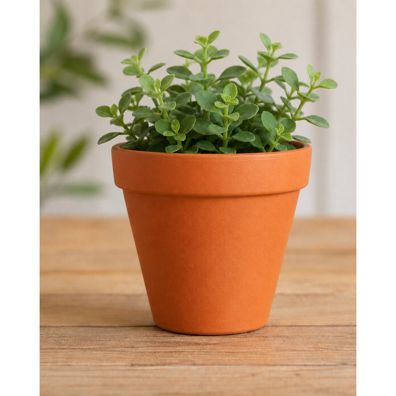 Pot standard de 3,5 pouces