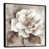 Black Floater Framed
