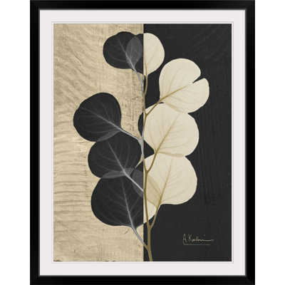 Manigault Albert Koetsier - Unframed Photograph