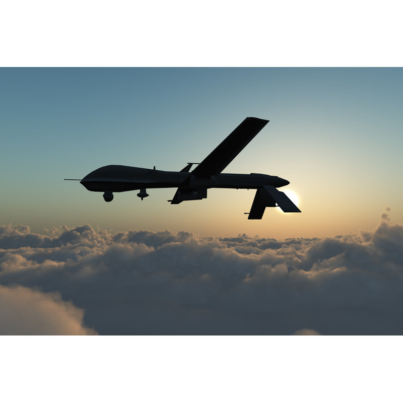 Predator Drone, 30cm H x 46cm W