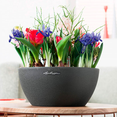 Pot Planter
