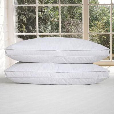 Alwyn Home Plush Goose Feathers&Down Gusseted Pillow Queen Size (Set of 2)