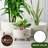 Ginza Maison Set Of 3 Plastic Planter Pots For Plants With Drainage Hole - Planter On Tripod Legs, Double Layer, Round Planter With Holes And Drainage Tray, Flower Pots For All House Plants -1552301050