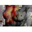 Parvez Taj - Wrapped Canvas Print-16672025