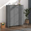 Jezelle 16 Pair Shoe Storage Cabinet-47183187