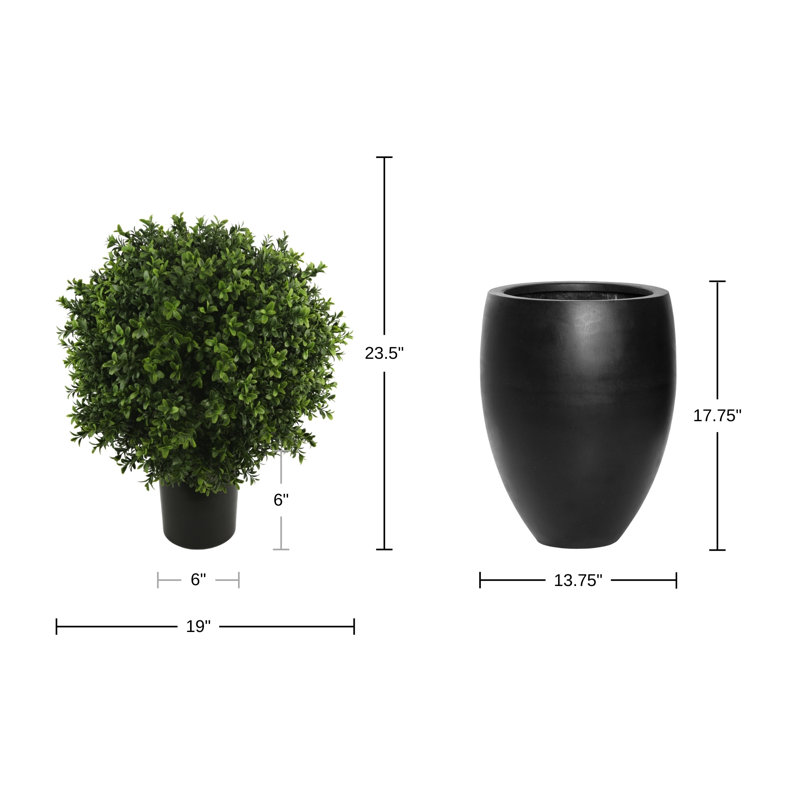 Topiaire de buis d'extérieur certifié UV avec pot en fibre de pierre, Noir, noir, noir, noir