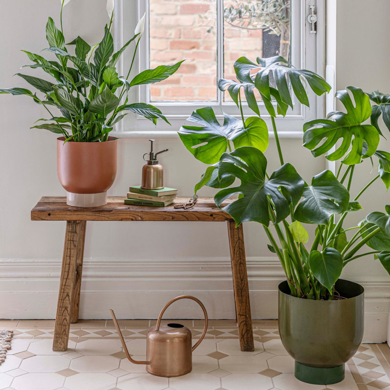 Austin Metal Planter Set, Green