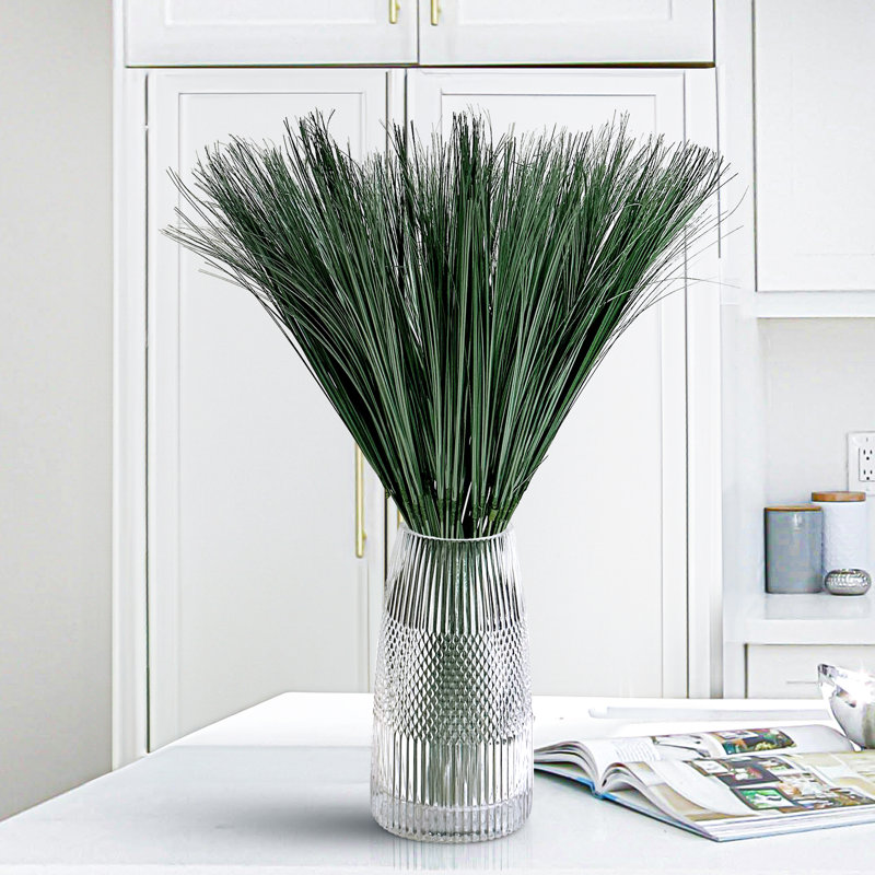 Herbe d'oignon