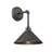 Estrela 1-Light Dimmable Galvanized Metal Barn Light