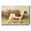 « Pointer »-impression sur toile-180348359