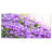 " Beautiful Campanula Flower Bouquet "-19241349