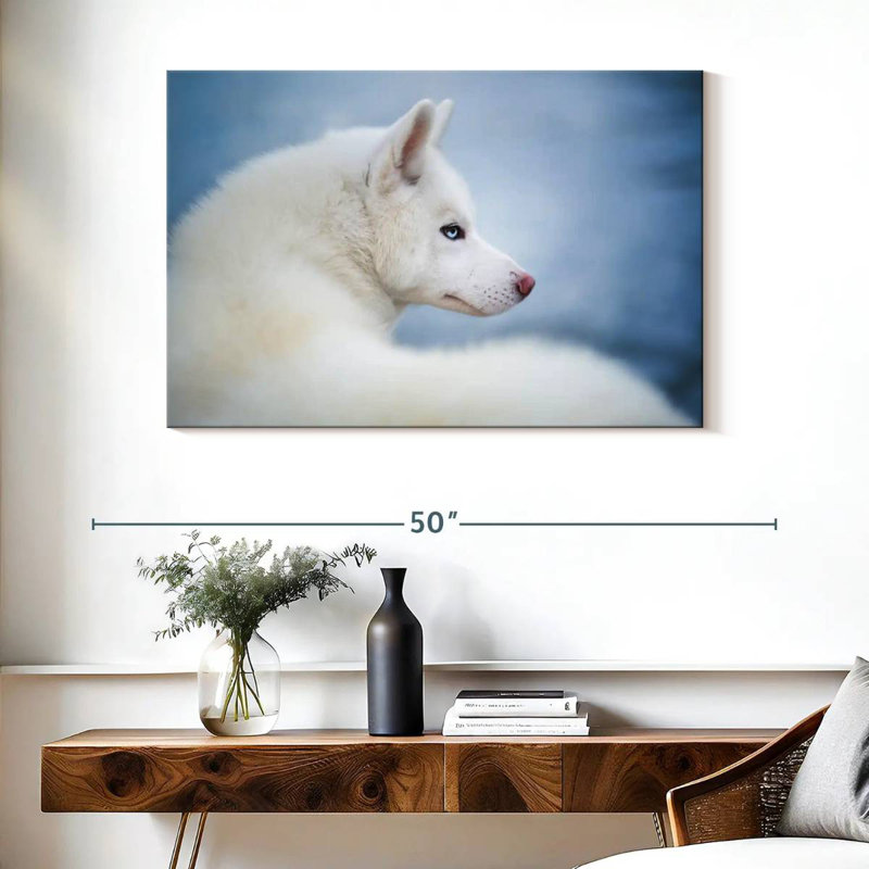 Brampt Pure White Husky
