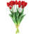 Tulip Arrangement