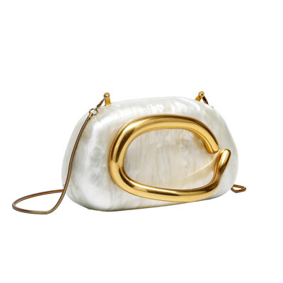 Acrylic Evening Handbag Handbag for Women