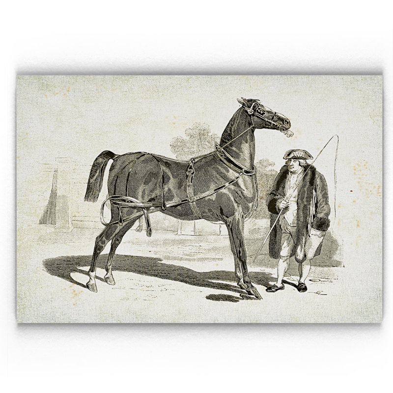 « équin sketch vii », impression, H 18 po x l 27 po x P 1,5 po, Pas de tapis, Toile tendue