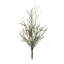 Ornement Leptospermum