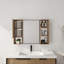 Armoire de salle de bain avec miroir et rangement
